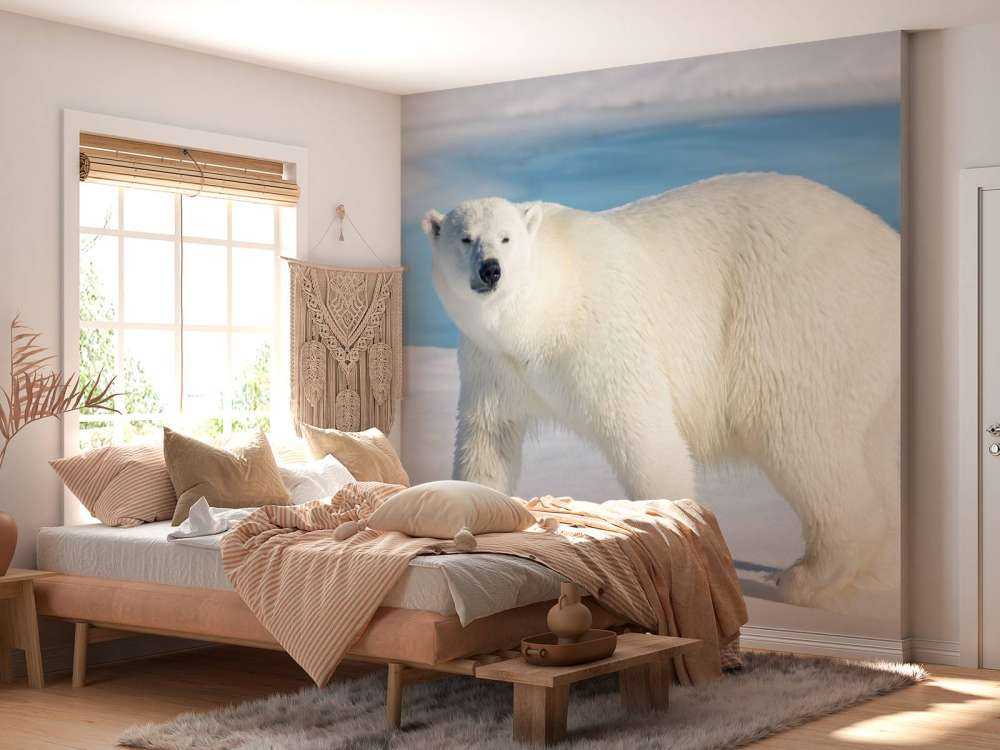 Eisbär