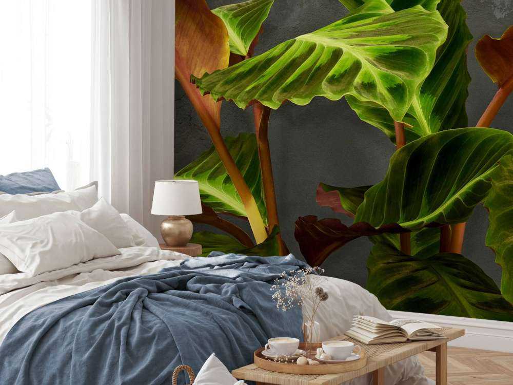 Pflanze mit schönen grünen Blättern