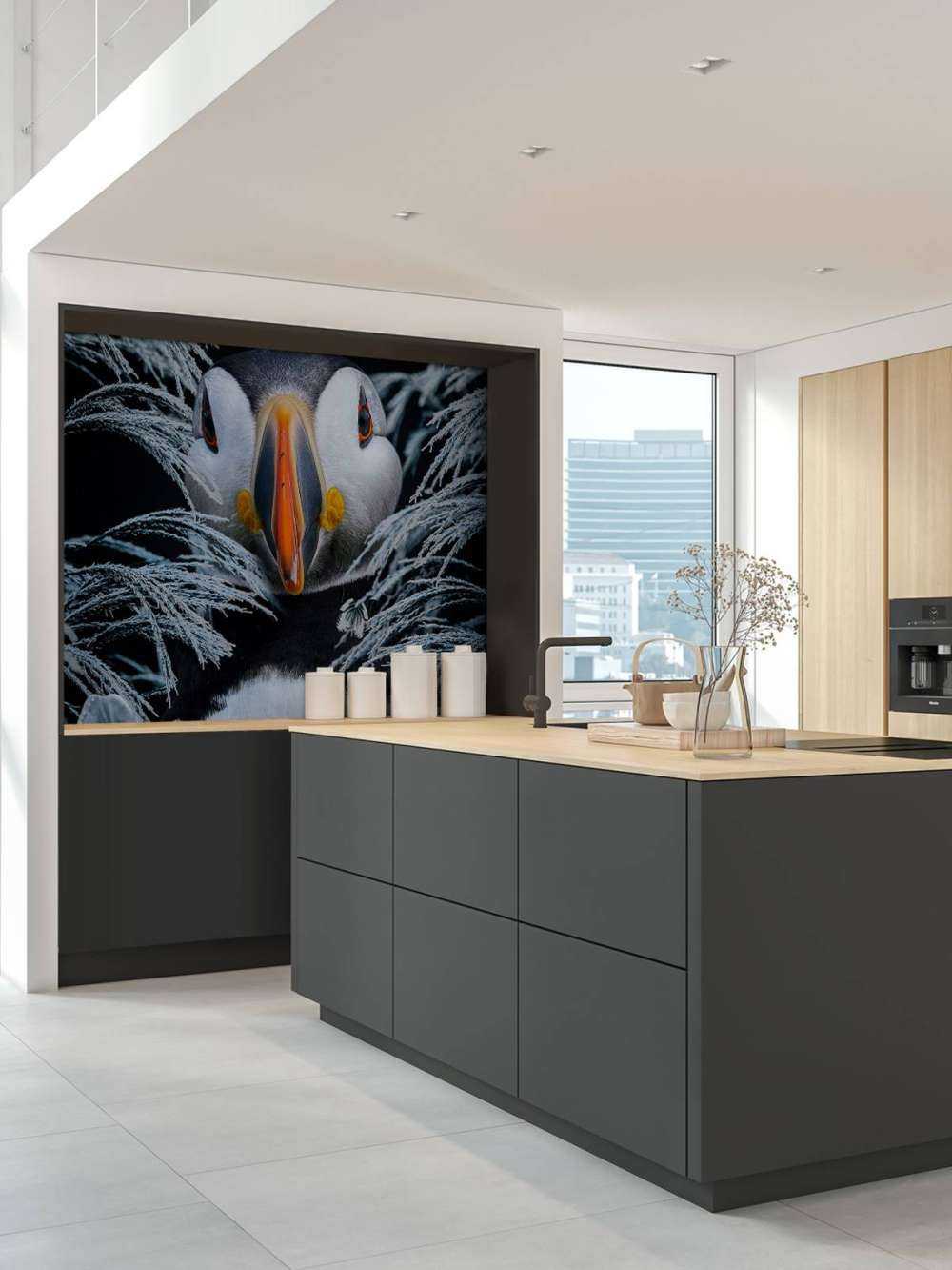 Atlantic Puffins Porträt