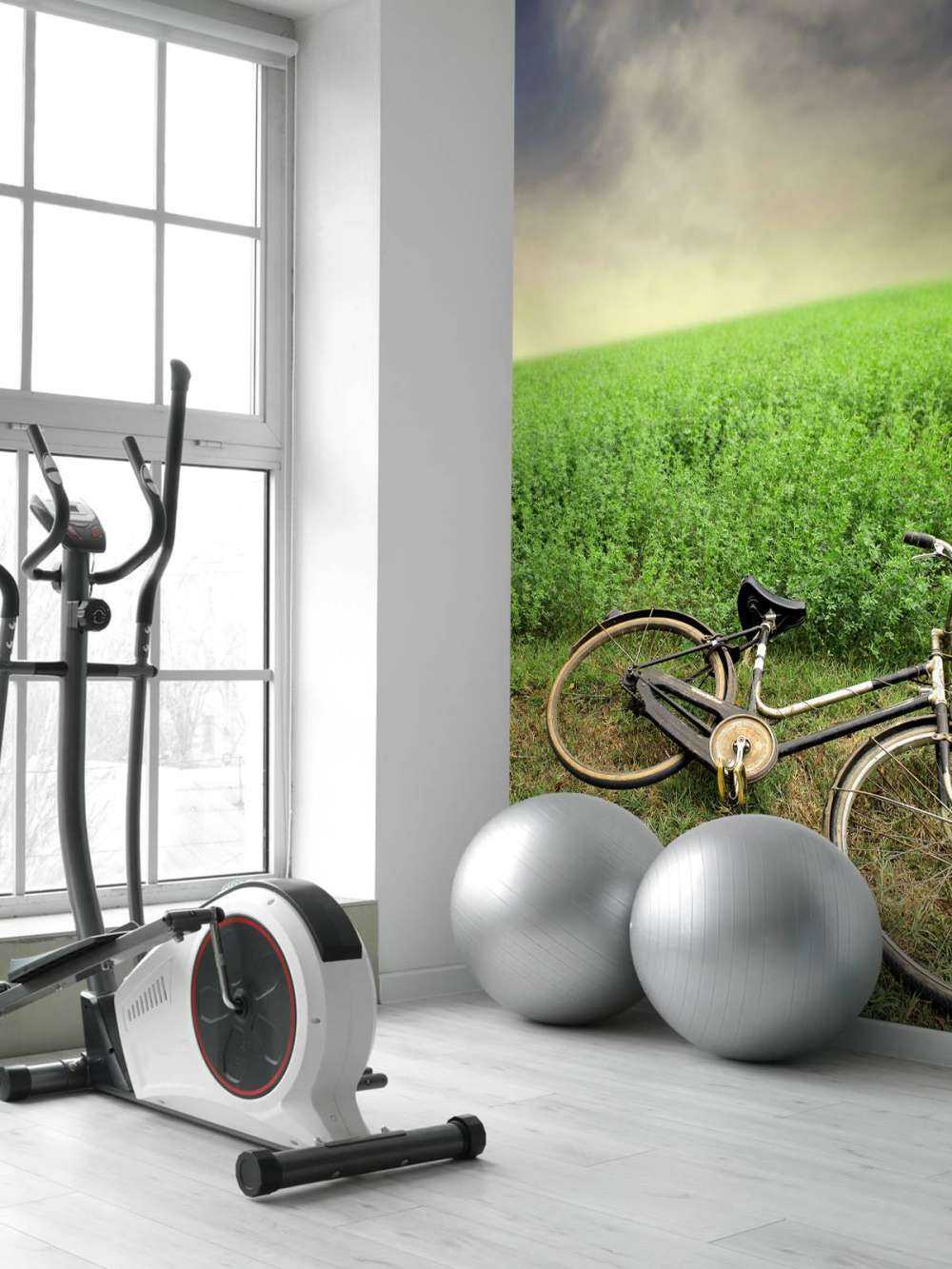 Altes Fahrrad