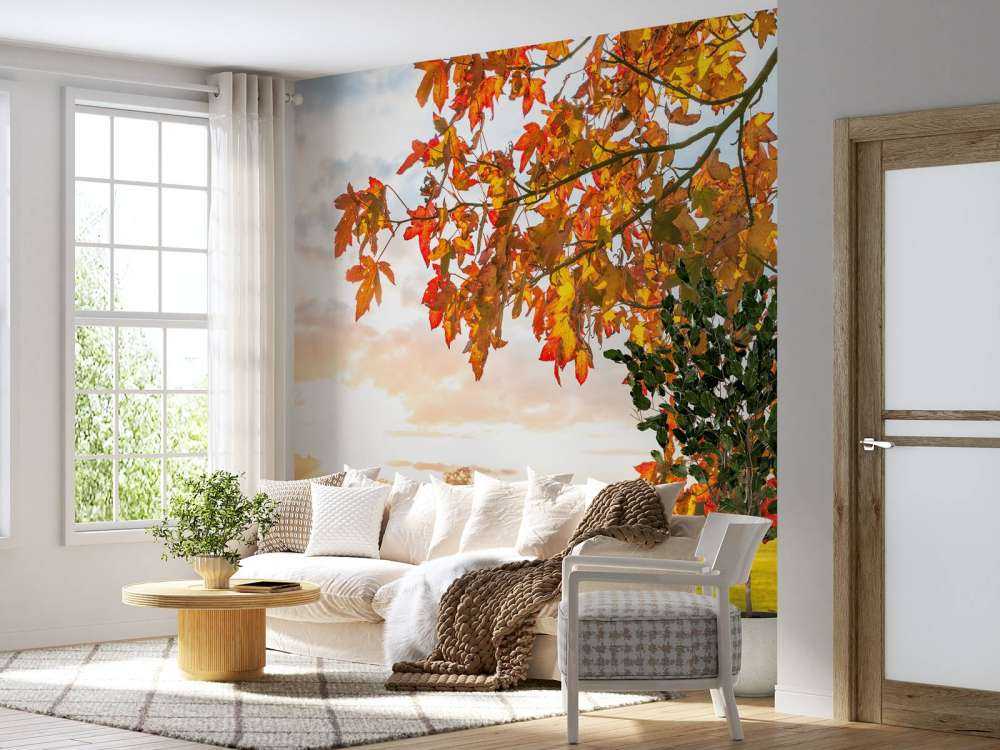 Herbstbaum bei Sonnenuntergang