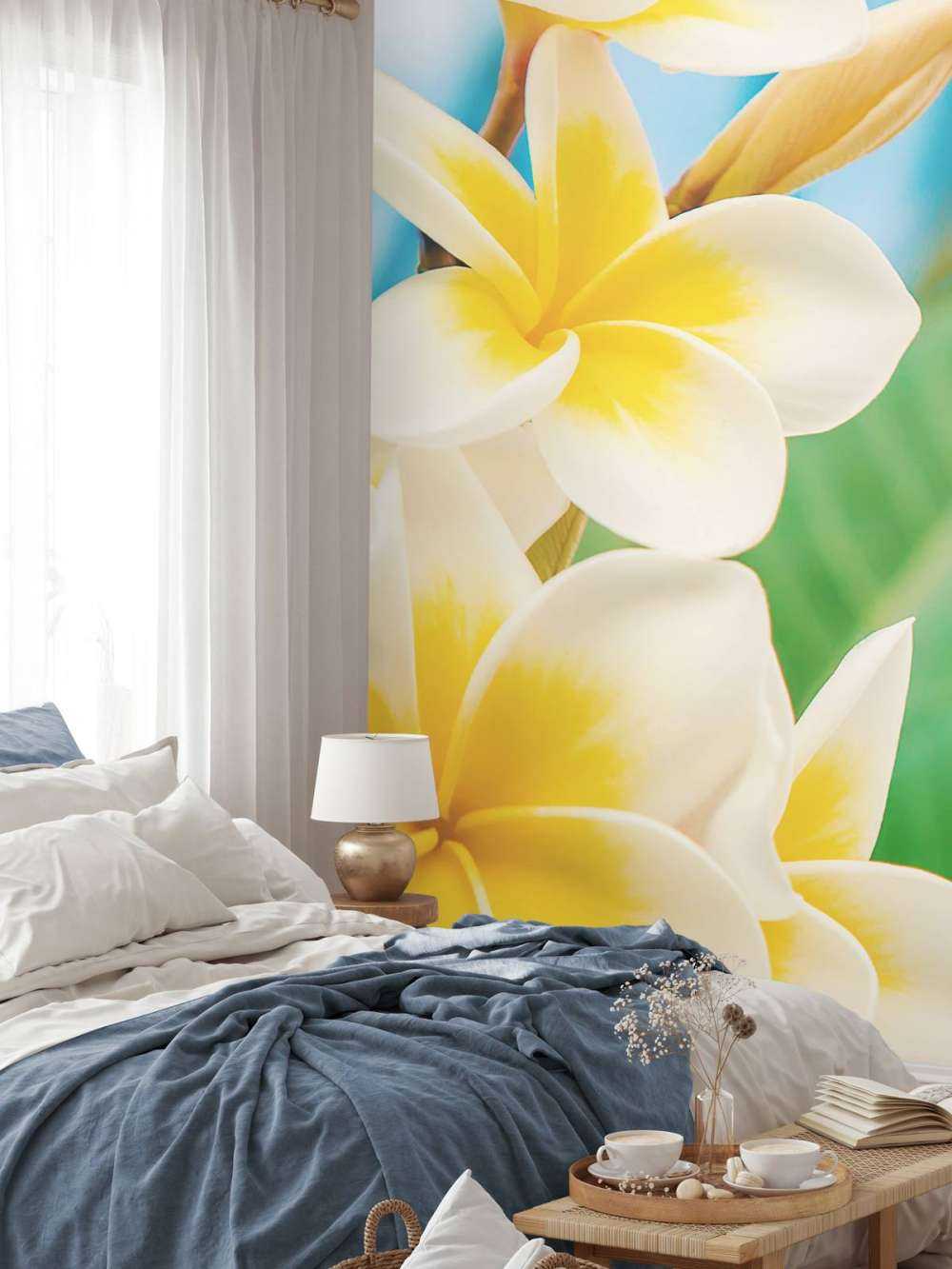 Weiß Gelbe Plumeria Blume