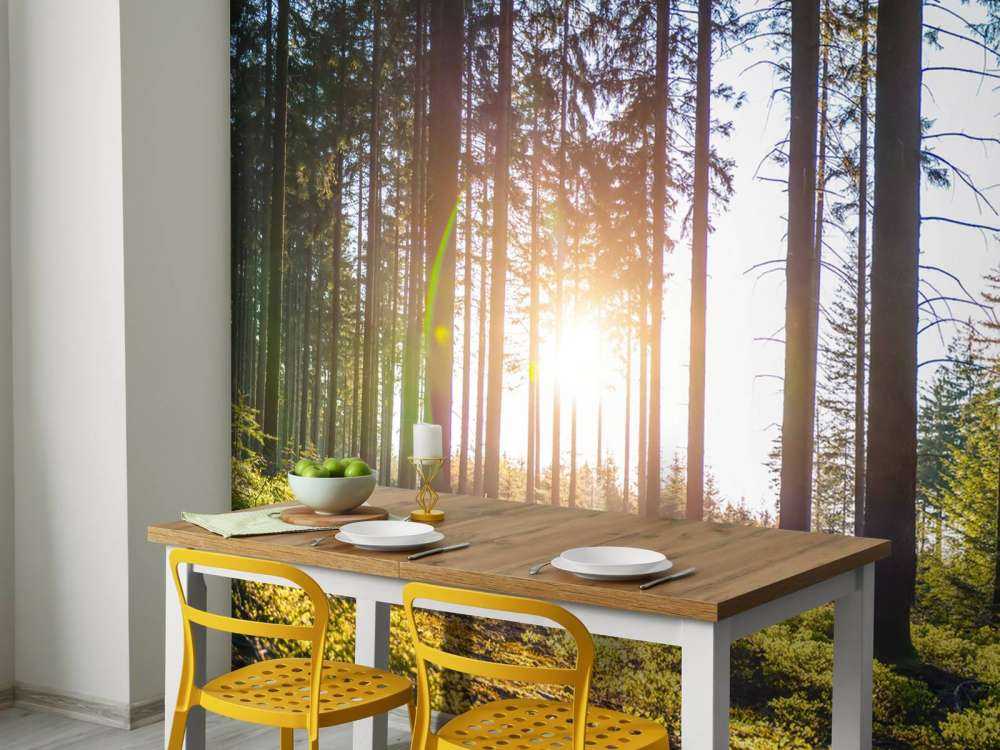 Frühling Wald