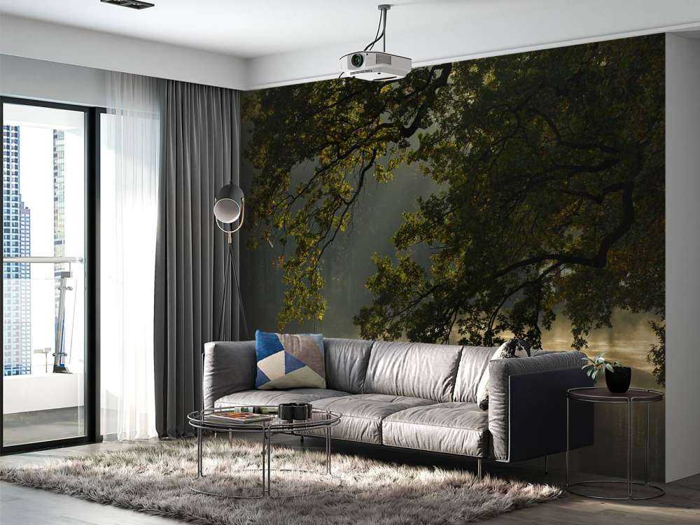 Überhängende Äste über dem Wasser