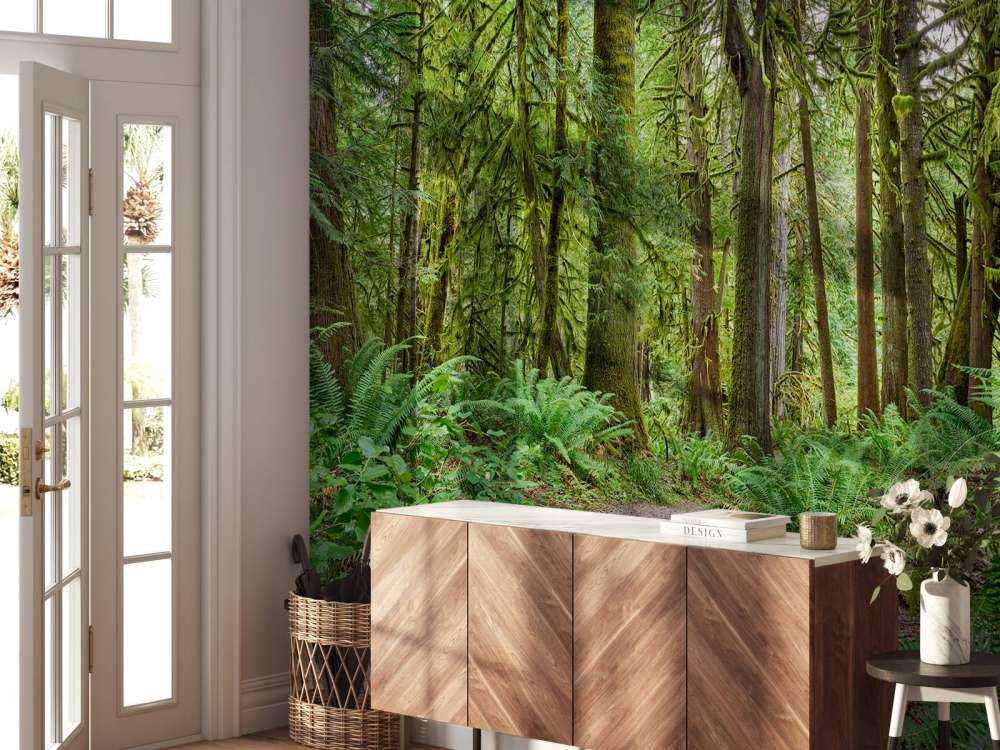 Weg mit Steinen durch den Wald 