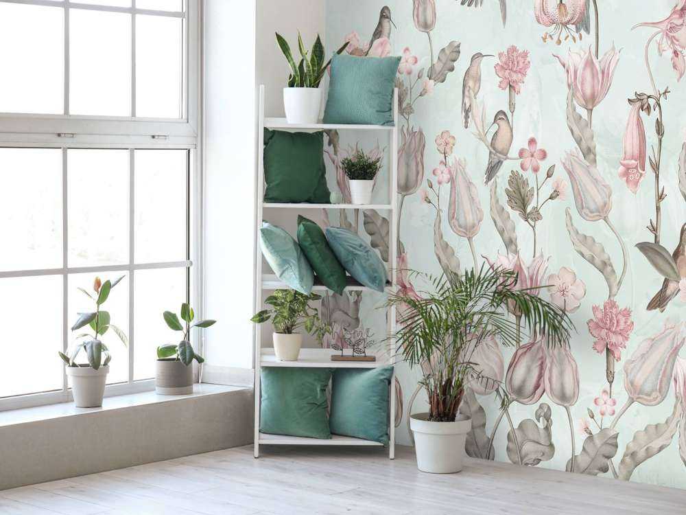 Frühling Kolibri Symphonie - Minz Wiese