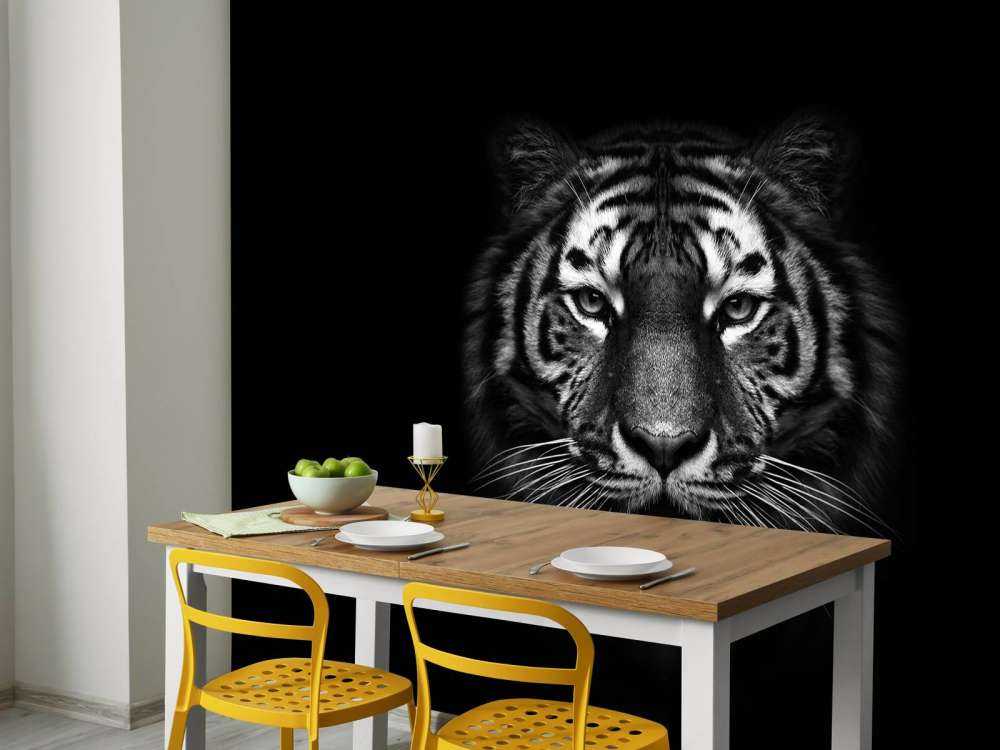Dark Tiger