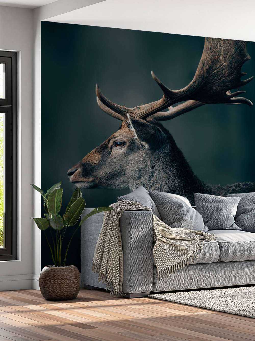 Damhirsch Nahaufnahme