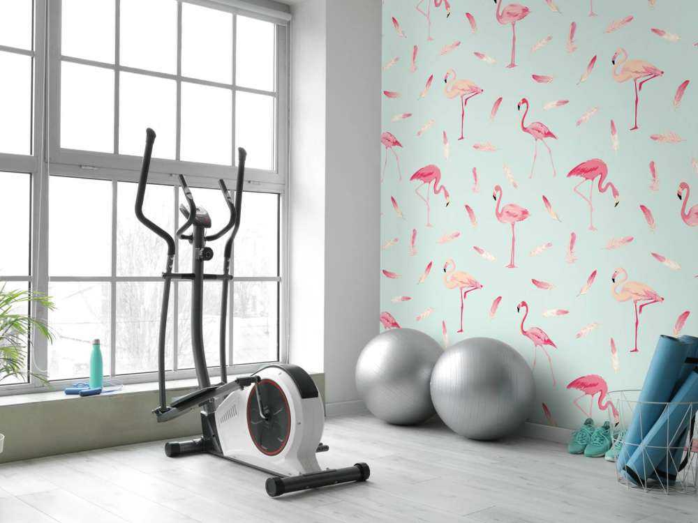 Flamingos