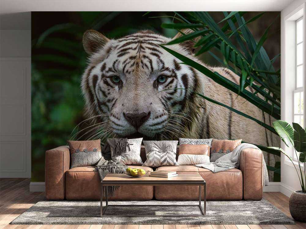 Weißer Tiger