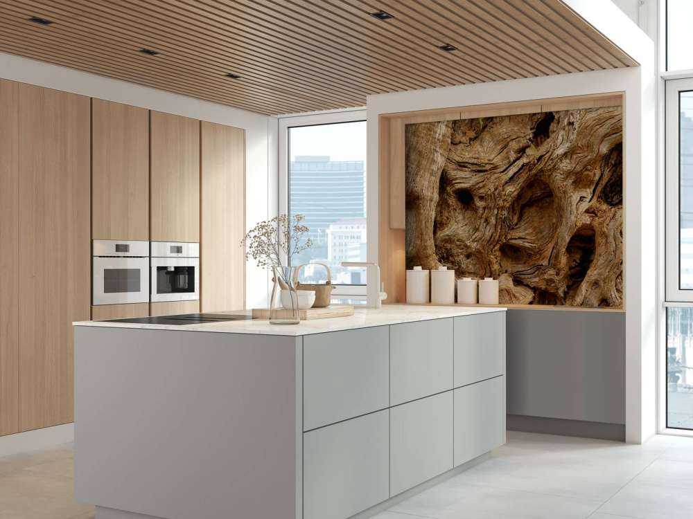 Nahaufnahme alter Baum