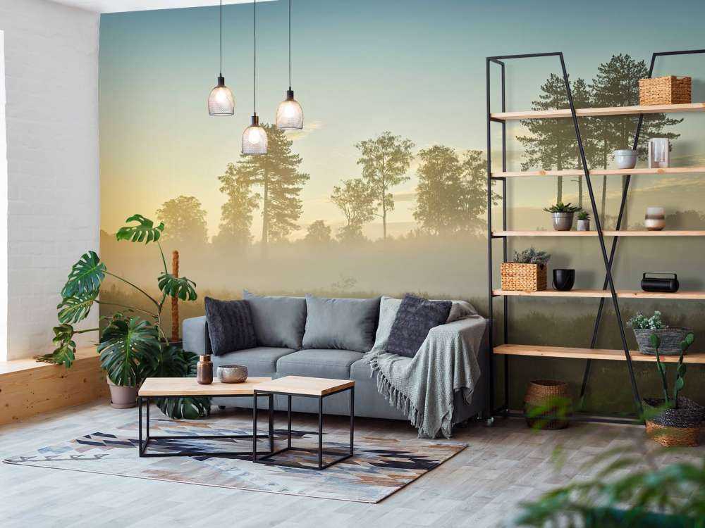 Neblige Moorlandschaft