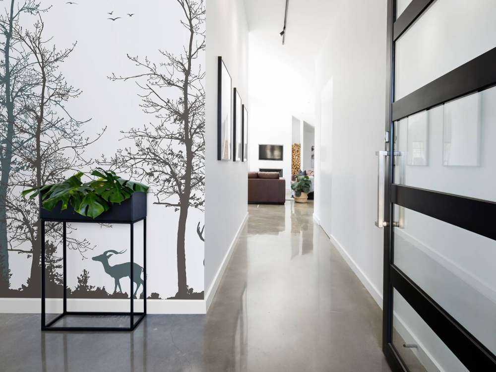 Winter Kontur Wald Stille