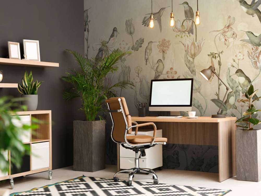 Frühling Kolibri Symphonie - Wüstenflüstern