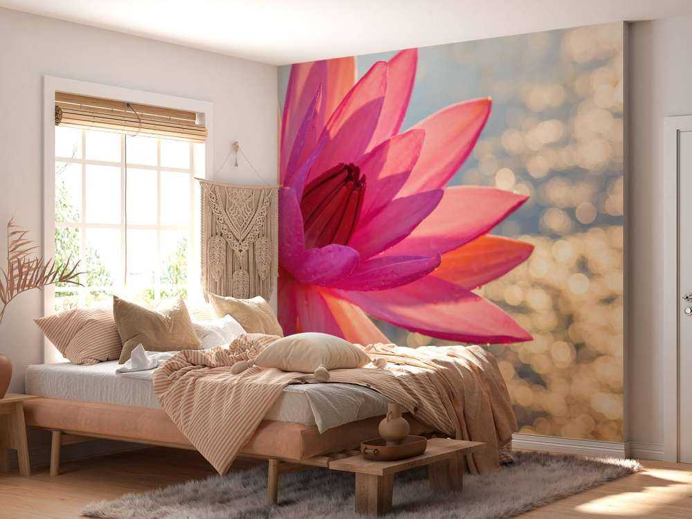 Lotusblume auf Wasser