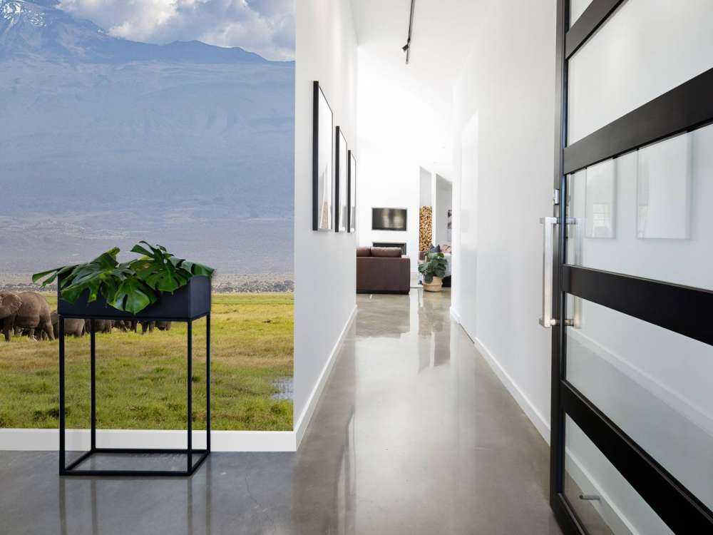 Afrikanische Elefanten