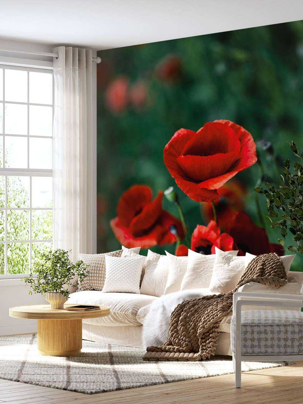 Mohn und Gras