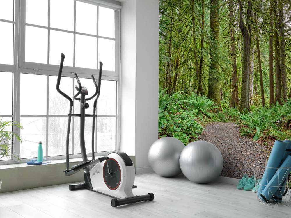 Weg mit Steinen durch den Wald 