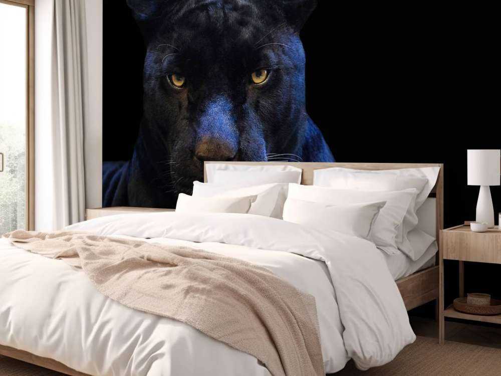 Nahaufnahme Panther
