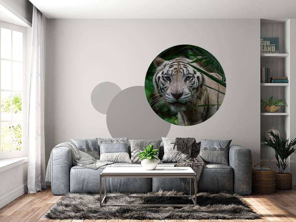 Weißer Tiger