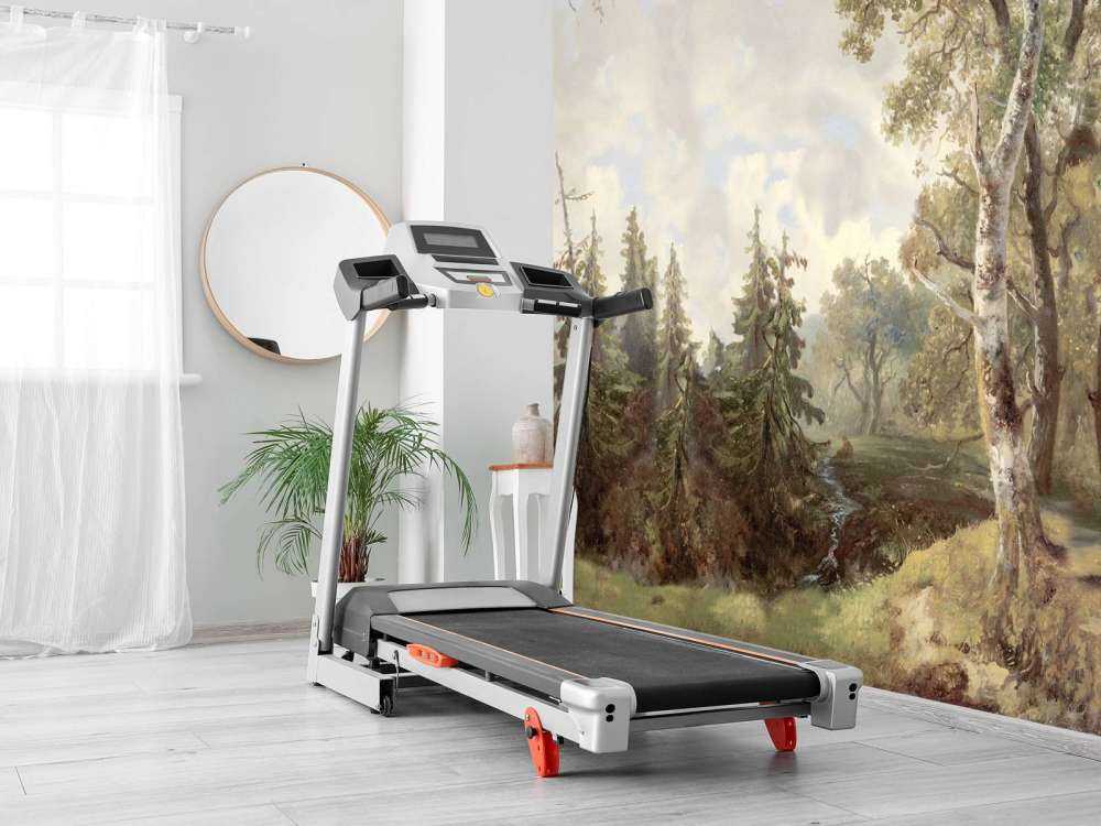 Waldlandschaft Farbe #1