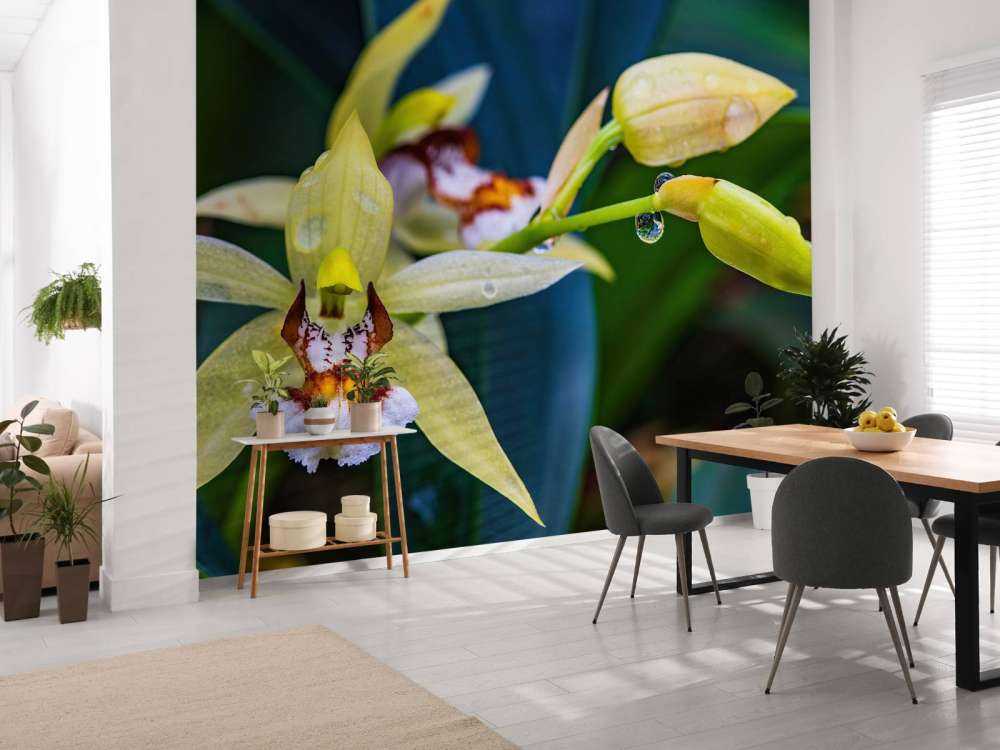 Wilde gelbe Orchidee