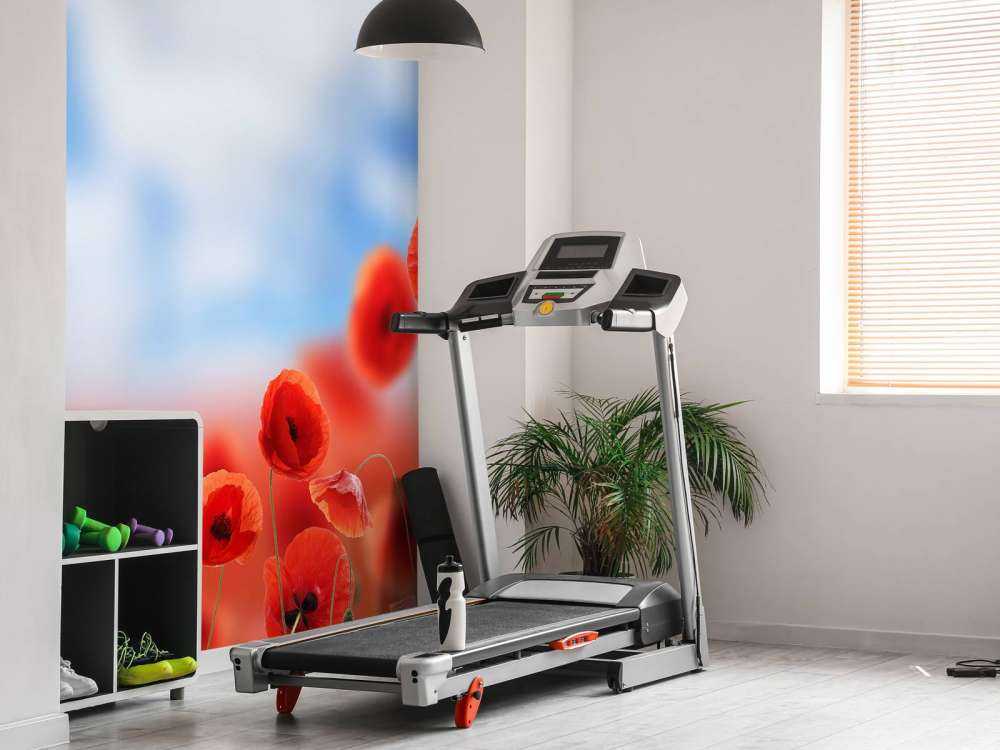 Blauer Himmel und rote Mohnblumen