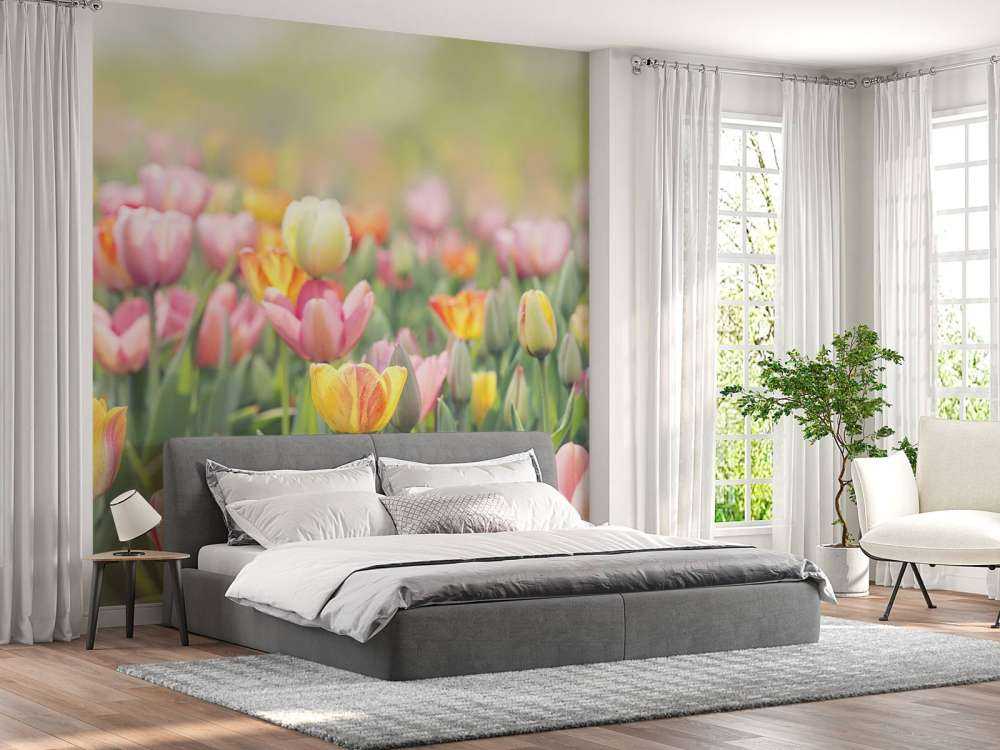 Bunte Tulpen