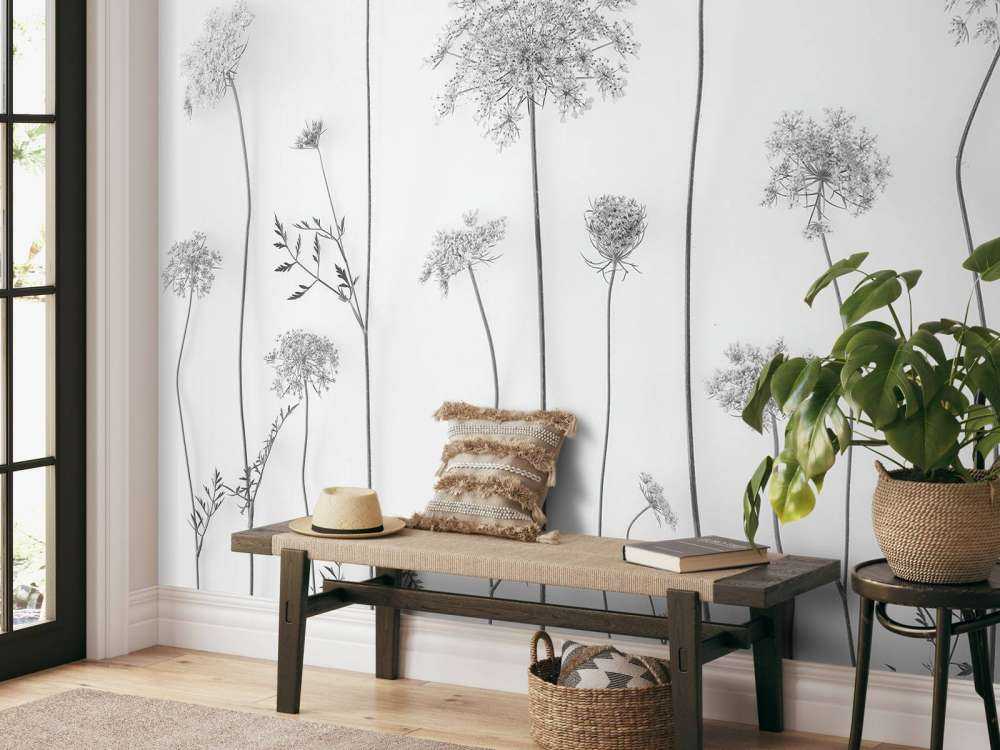 Kuh-Petersilie in Schwarz und Weiß