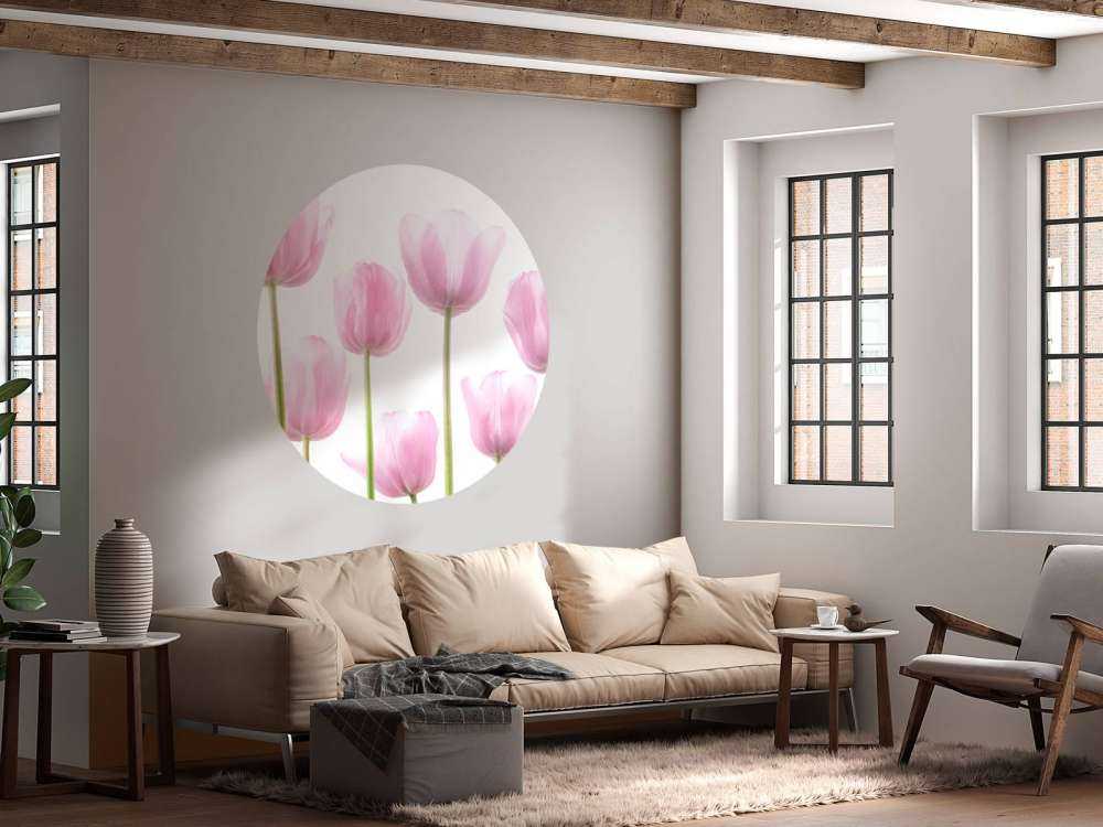 Rosa Tulpen