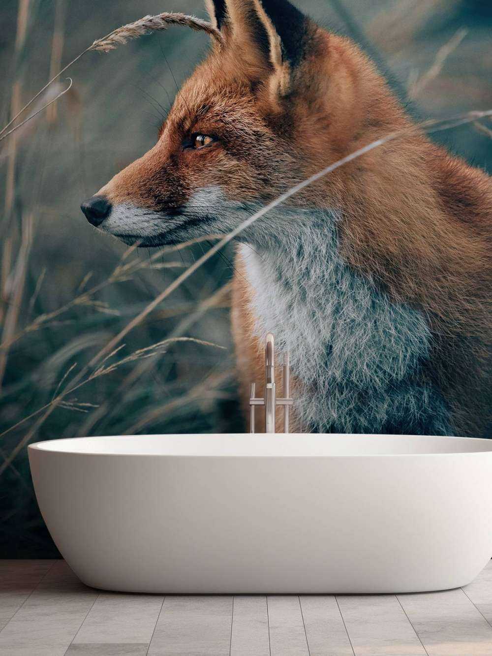 Fuchs in den Dünen