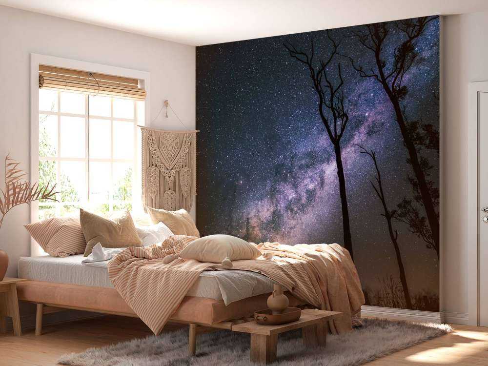 Sterne zwischen den Bäumen