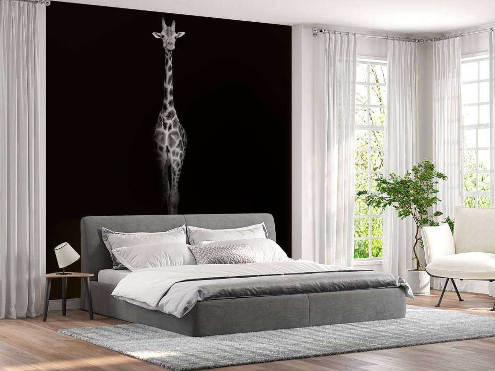 Giraffe schwarz-weiß