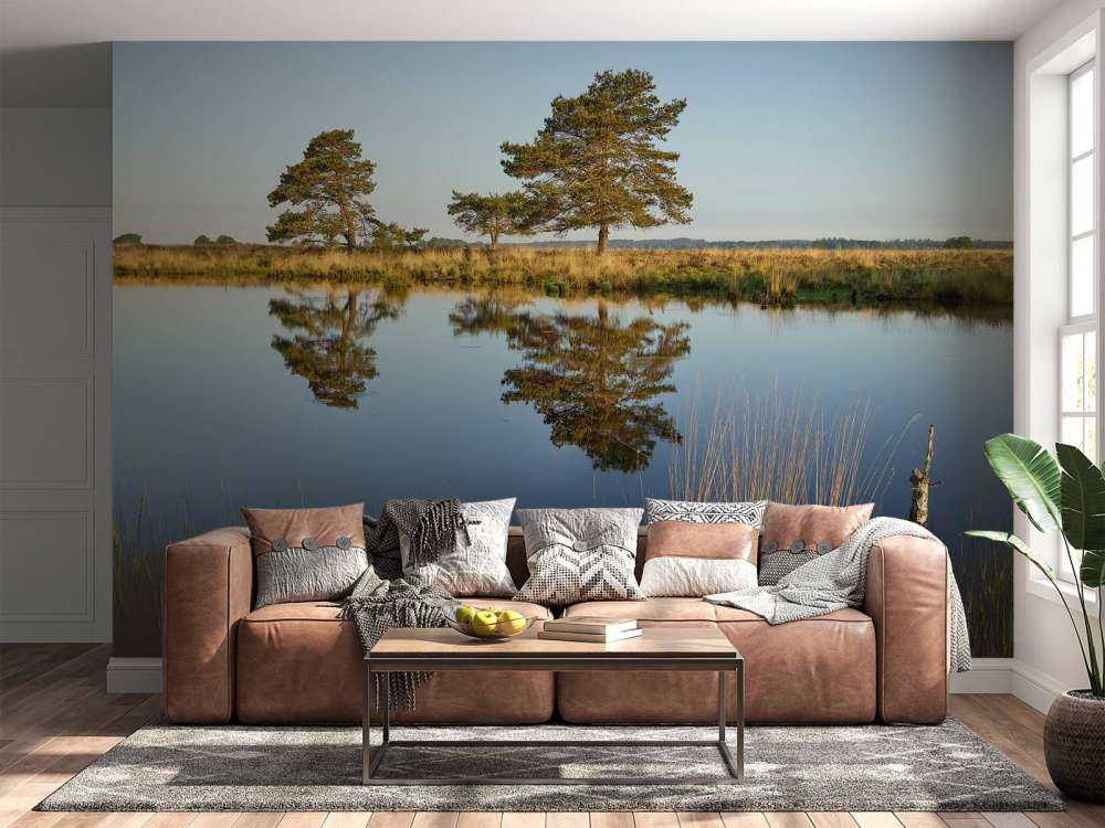 Waldland in der Heide