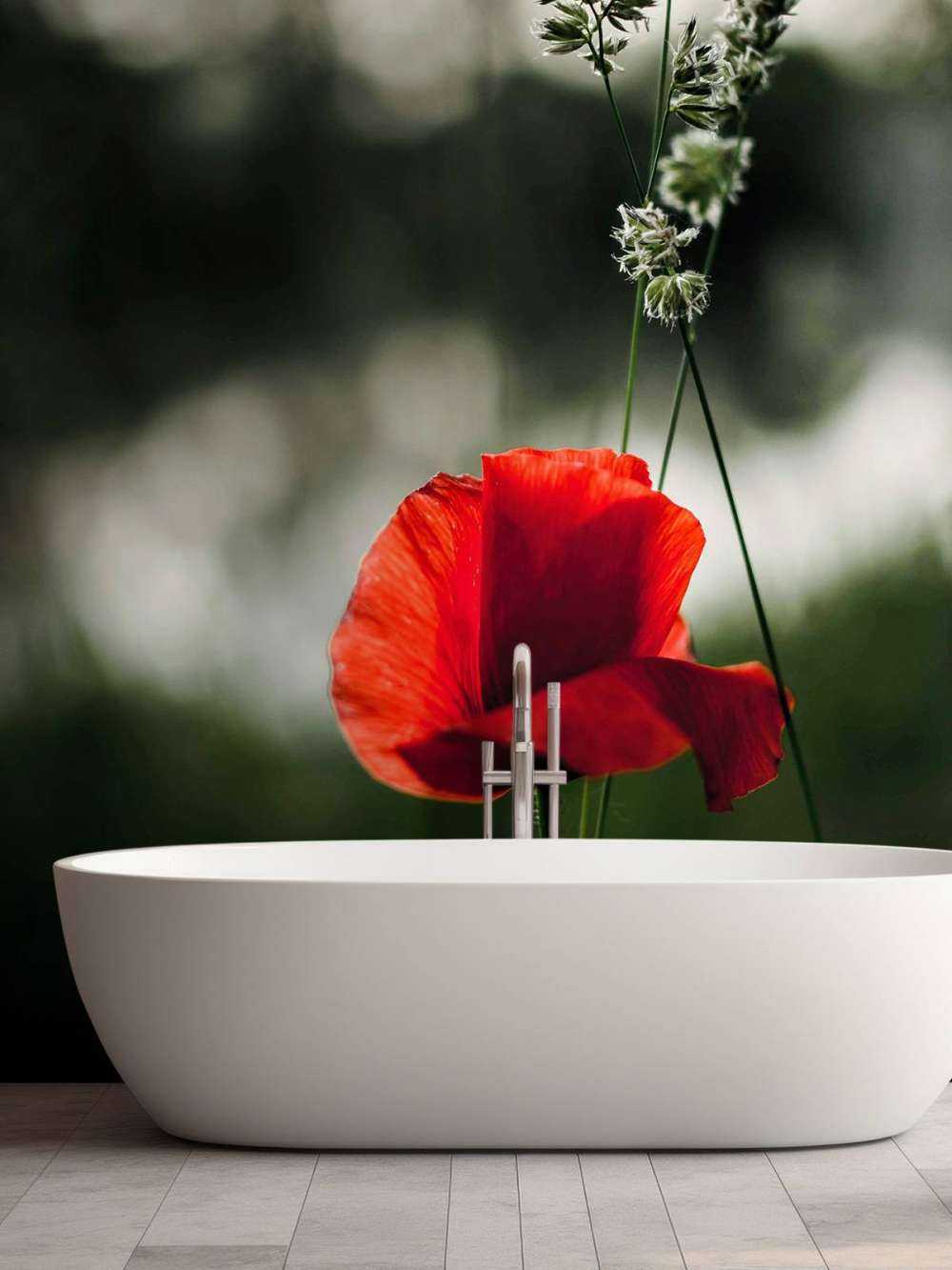 Roter Mohn mit Gras