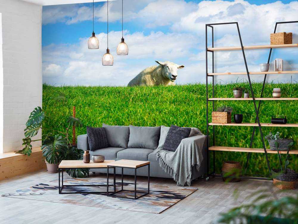 Schafe auf dem Deich