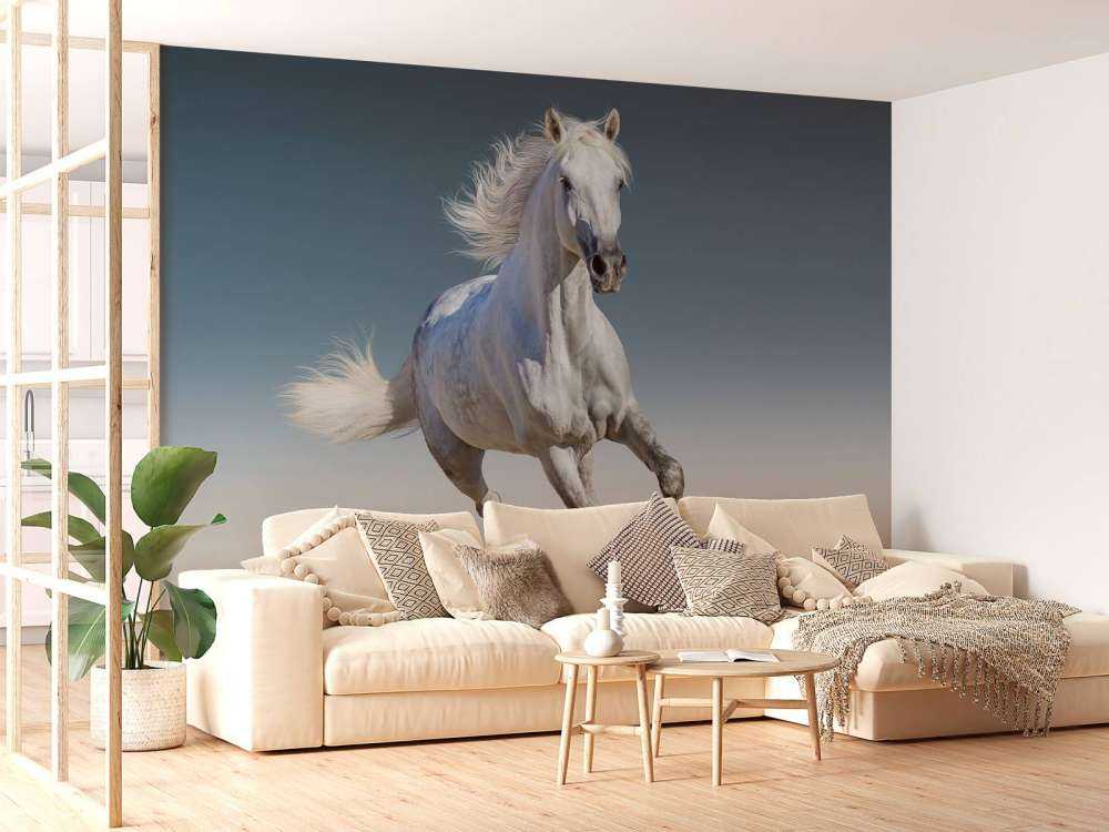 Galoppierendes Pferd