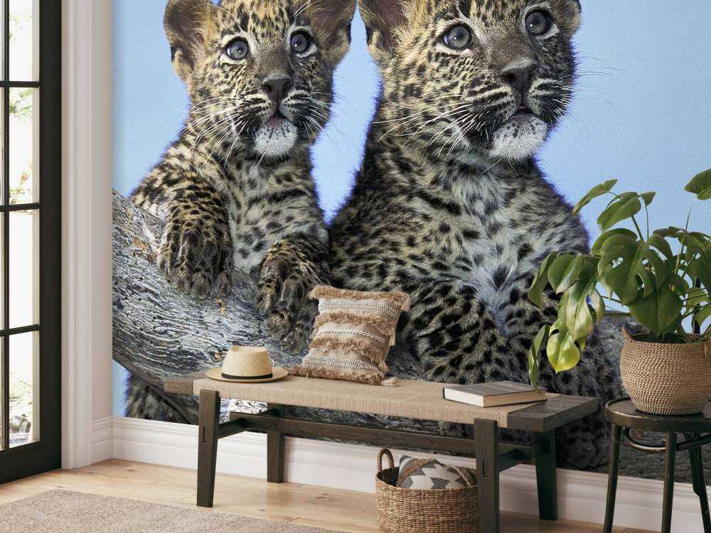 Kleine Leoparden