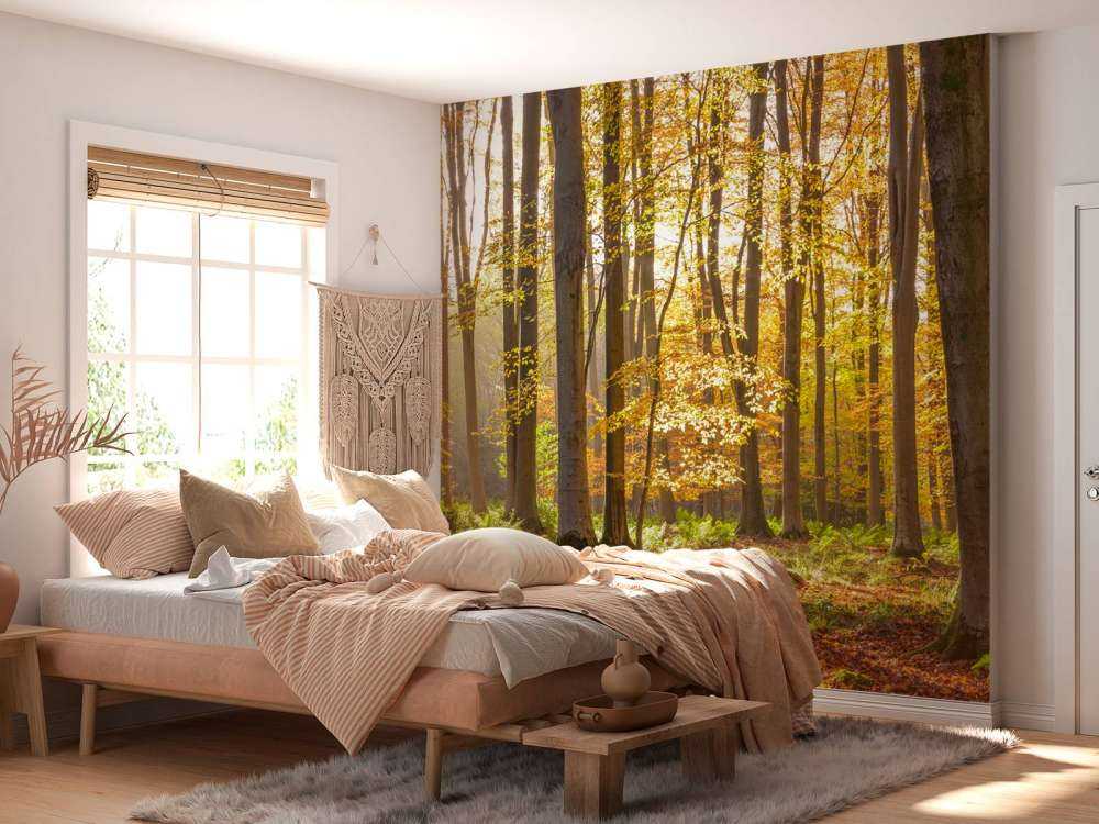 Sonniger Wald