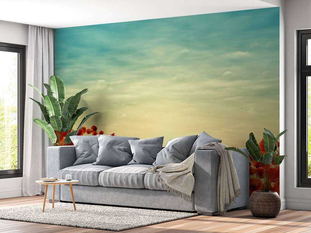 Mohnblumen mit Sonnenuntergang