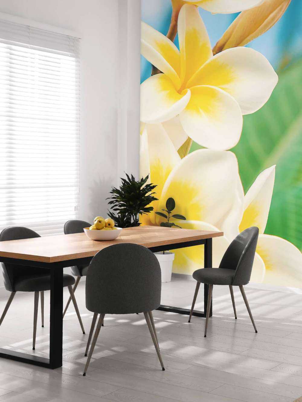 Weiß Gelbe Plumeria Blume