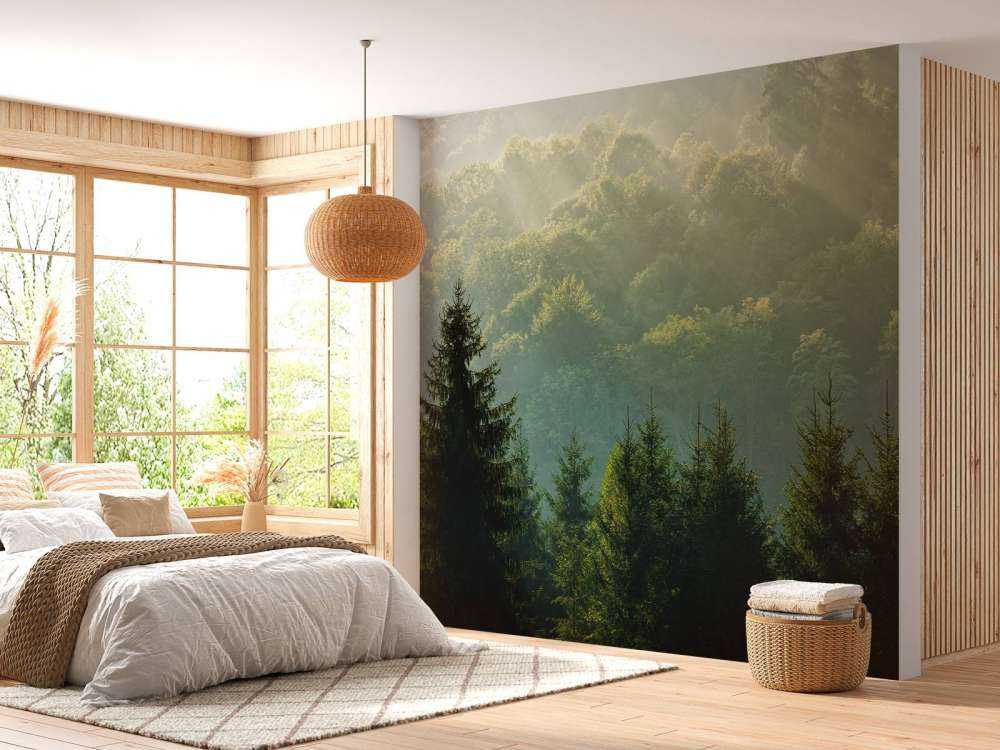 Sonnenstrahlen über dem Wald