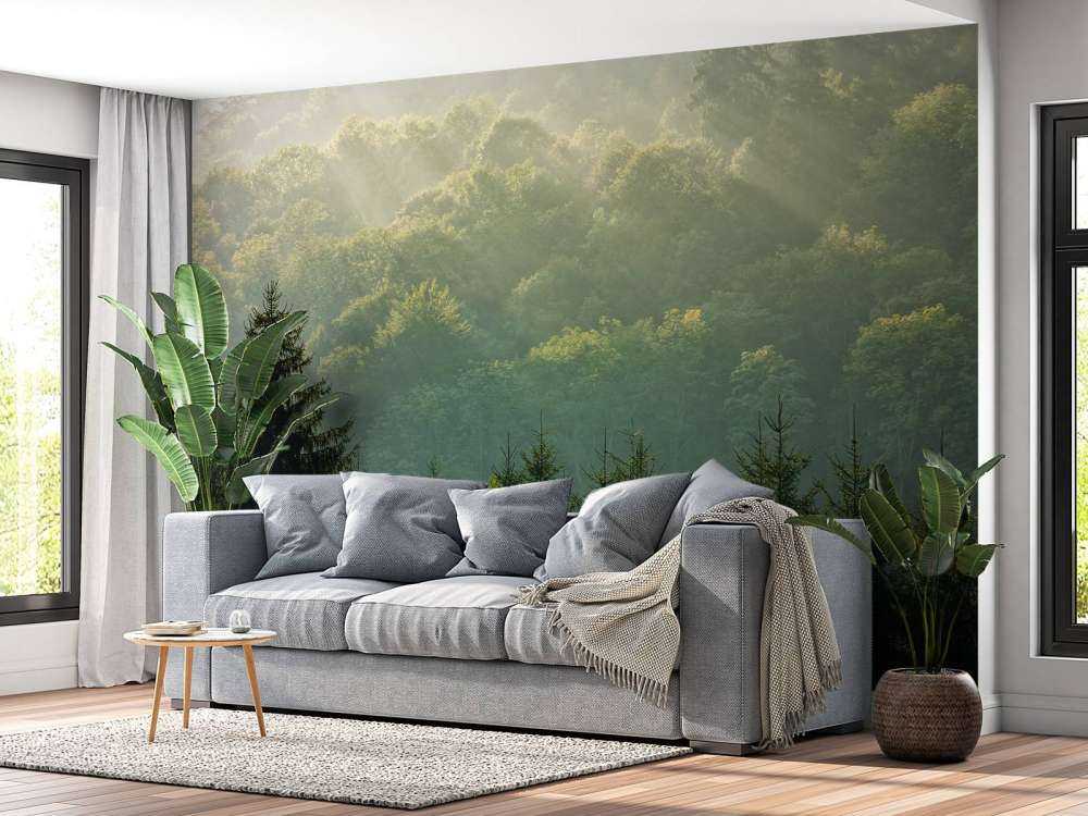 Sonnenstrahlen über dem Wald