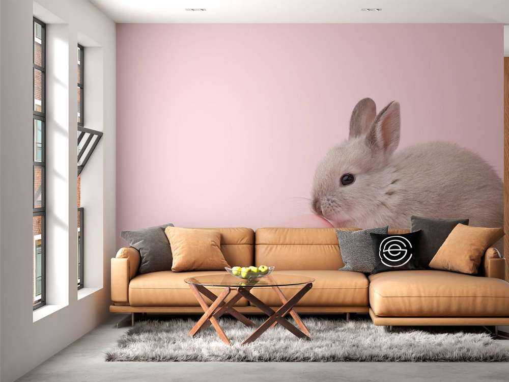 Kaninchen mit Ei