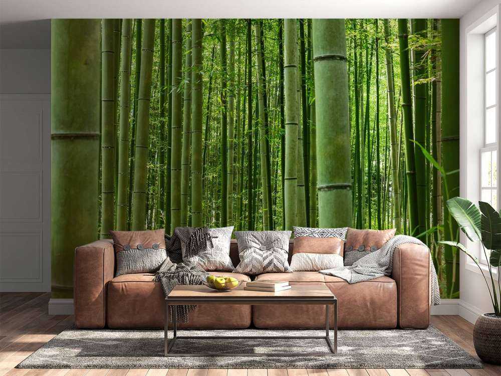 Inmitten des Bambuswaldes