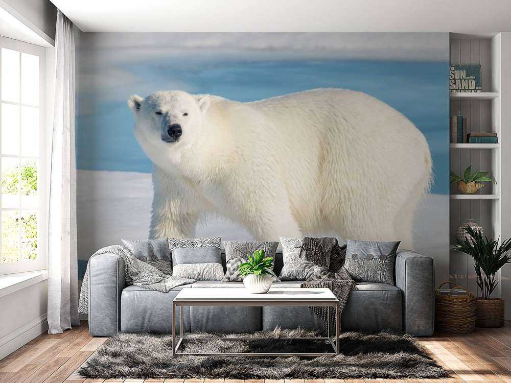 Eisbär