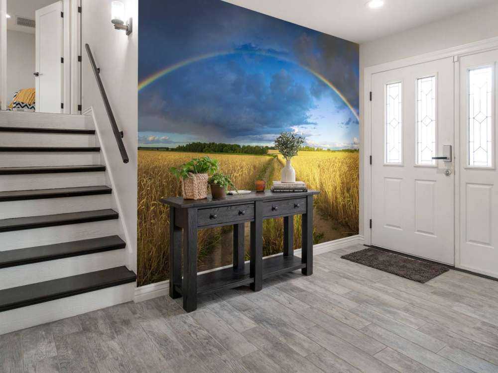 Regenbogen über einem Weizenfeld