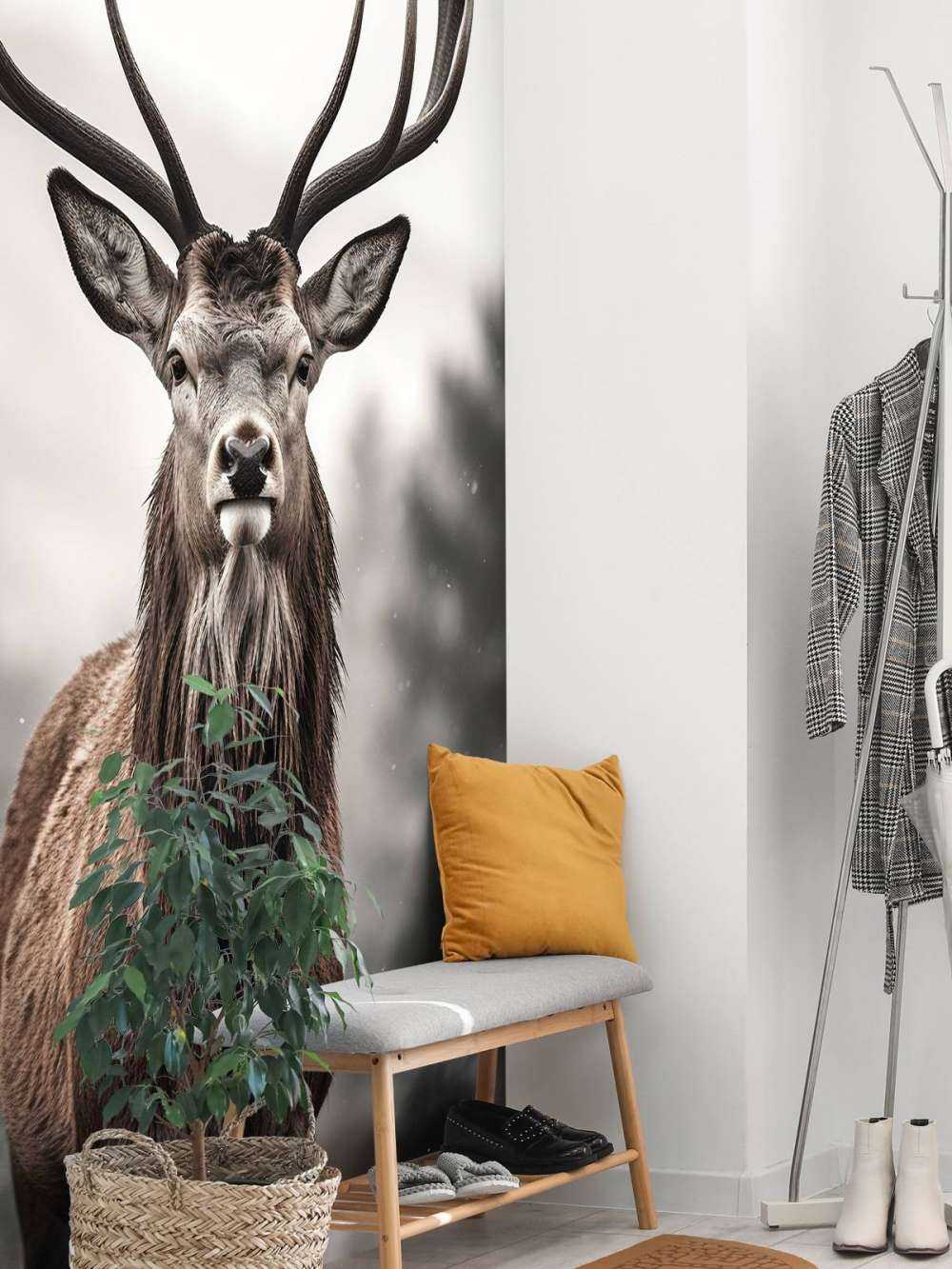 Winterkönig Hirschblick