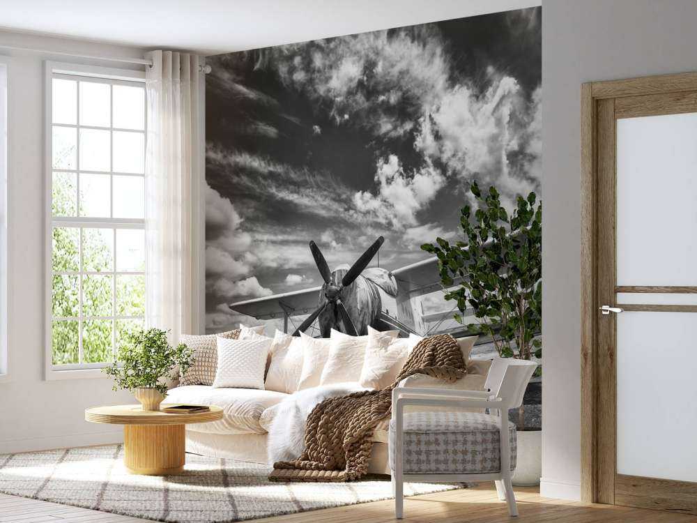 Klassisches Flugzeug