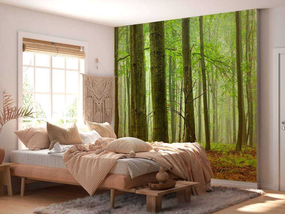 Wald mit Buchen